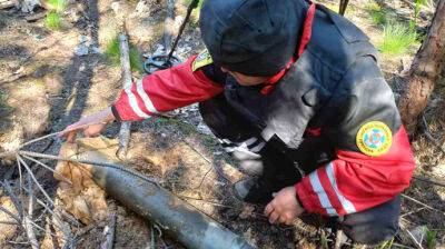 Киевлянам напомнили, что посещать леса запрещено: там находят остатки боеприпасов