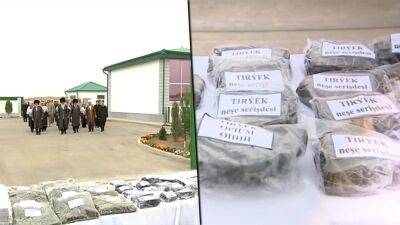Пограничники Туркменистана задержали афганских туркмен с 60 кг марихуаны
