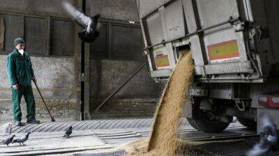 Еврокомиссия запретила экспортировать украинское зерно в пять стран ЕС