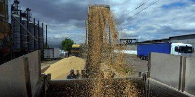 Европейская Комиссия временно запретила импорт агропродукции из Украины в пять государств