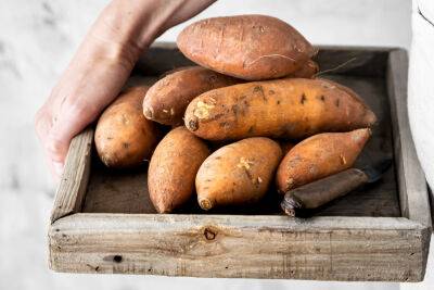 Как сажать батат - советы по выращиванию сладкого картофеля - apostrophe.ua - Украина