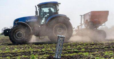 Не только зерно: Еврокомиссия запретила импорт ряда агротоваров из Украины