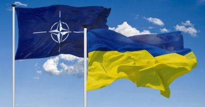 Граждане пяти стран НАТО согласны, что Украина может вступить в Альянс до конца войны, — опрос