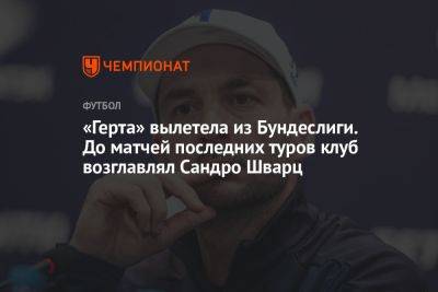 Сандро Шварц - «Герта» вылетела из Бундеслиги. До матчей последних туров клуб возглавлял Сандро Шварц - championat.com - Германия