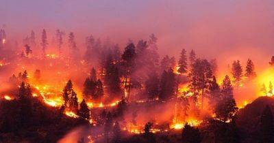 Канада охвачена лесными пожарами: объявлена чрезвычайная ситуация и массовая эвакуация