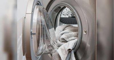 На какое время можно оставлять мокрые вещи в стиральной машине и что делать, если появился неприятный запах