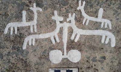 В Швеции обнаружили наскальные рисунки возрастом 2,7 тысяч лет - фото