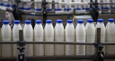 Поставки белорусской молочной продукции в Россию в мае ограничены не будут