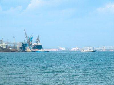 «Зерновое соглашение»: россия почти месяц блокирует входной флот на порт «Южный»