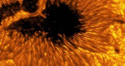 Источник геомагнитных бурь. Новые снимки Солнца показывают детали его поверхности (фото)