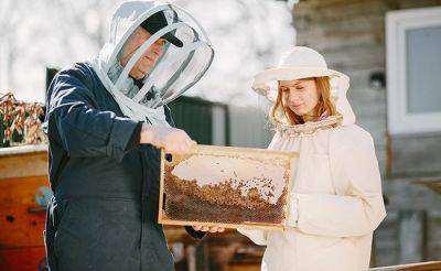 В Германии растёт количество женщин-пчеловодов
