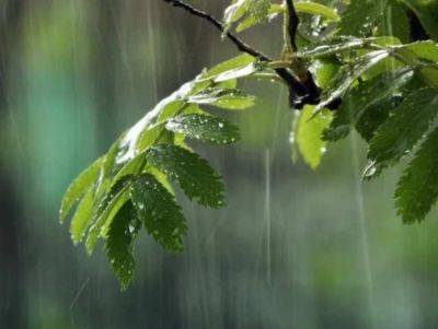 Готовьте зонтики: синоптик предупредила о возможных дождях с грозами завтра