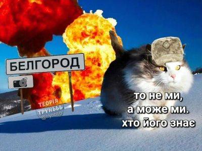 "Вместо сирен в БНР будет звучать смех Буданова". Украинцы в сети шутят на тему "освобождения" Белгородской области