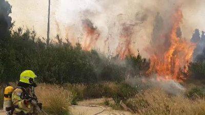 Крупные пожары у Петах-Тиквы и возле Цфата: для тушения привлечены самолеты