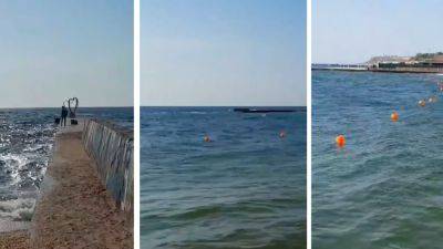 На одесском пляже от минной опасности установили сетку | Новости Одессы
