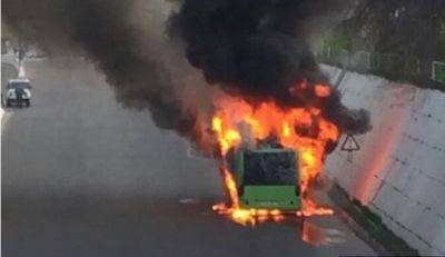 В Ташкенте сгорел автобус Mercedes-Benz