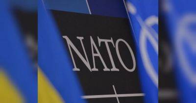 Единогласно: ПА НАТО признала режим в рф рашизмом, а его агрессию против Украины — геноцидом