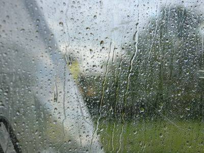 Дожди с грозами по всей стране: синоптик Диденко дала прогноз погоды на вторник 23 мая