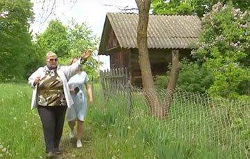 В Дятловском районе дачница объявила войну сельисполкому