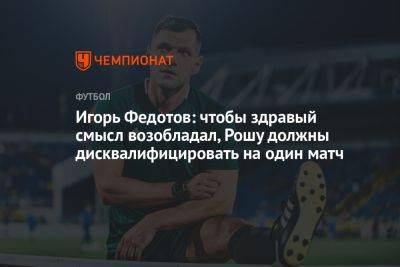 Игорь Федотов: чтобы здравый смысл возобладал, Рошу должны дисквалифицировать на один матч