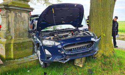 В Чехии водитель разбил машину, объезжая вышедшего на дорогу ежа