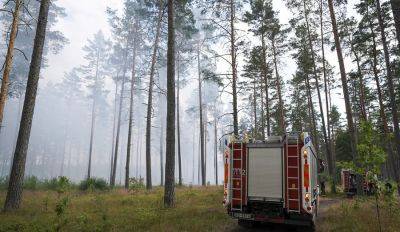 В Кекавском крае выгорело пять гектаров леса