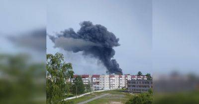 Сигнал "Эдельвейс": в Брянской области загорелся склад на заводе (фото)