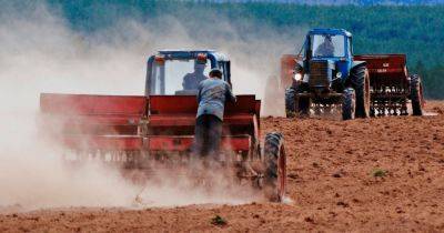 Украина сокращает объемы агропроизводства: в Минагро озвучили масштаб проблемы