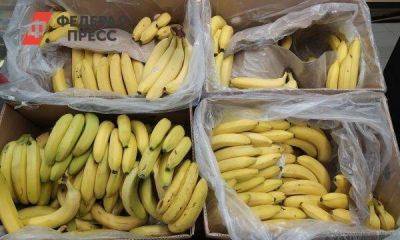 Экономист объяснил, зачем бананы хотят включить в список социально значимых продуктов