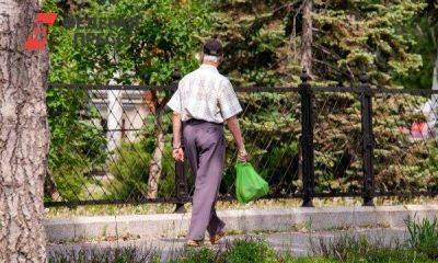 В Союзе пенсионеров рассказали, будет ли индексация пенсий с 1 июня