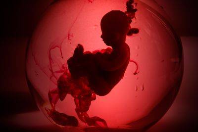 Вновь медицинский скандал: в патологоанатомической лаборатории обнаружились непогребенные эмбрионы