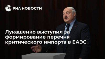 Лукашенко: ЕАЭС нужно сформировать перечень товаров критического импорта для безопасности
