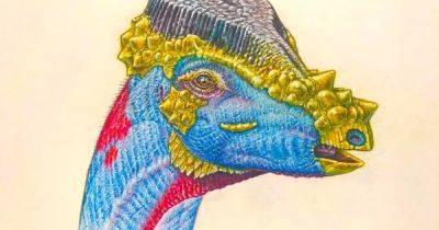 Короновала природа. Найден новый вид динозавров с уникальным строением черепа - focus.ua - Украина - шт. Калифорния - штат Монтана