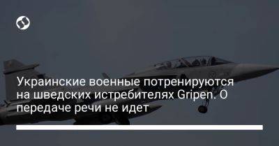 Пол Йонсон - Украинские военные потренируются на шведских истребителях Gripen. О передаче речи не идет - liga.net - Украина - Швеция