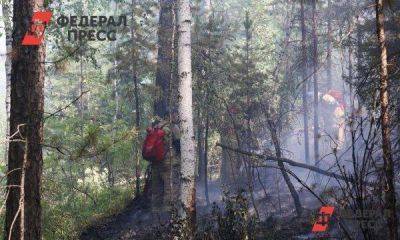 На Среднем Урале будут платить за волонтерство в лесах и поимку поджигателей