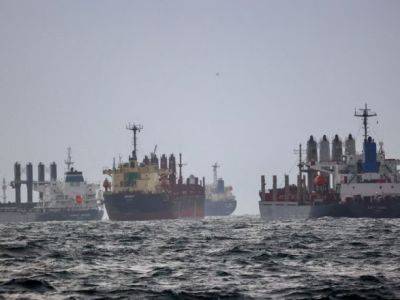 В Украину из Стамбула не могут добраться корабли, несмотря на продление "зерновой сделки" - Reuters - unn.com.ua - Россия - Украина - Киев - Турция - Стамбул - Южный