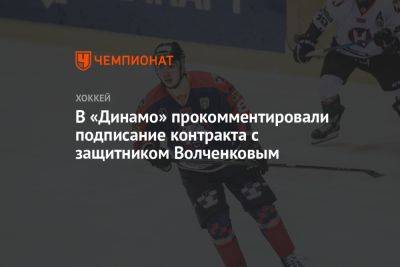 В «Динамо» прокомментировали подписание контракта с защитником Волченковым