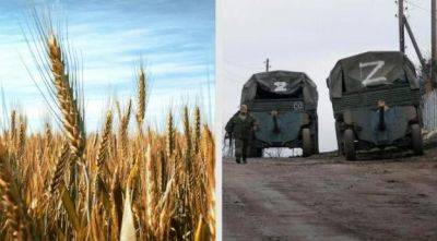 Россияне украли из Украины около 4 миллионов тонн зерна — ассоциация