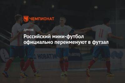 Российский мини-футбол официально переименуют в футзал