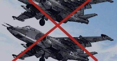 На Запорожье защитники Украины уничтожили два вражеских Су-25