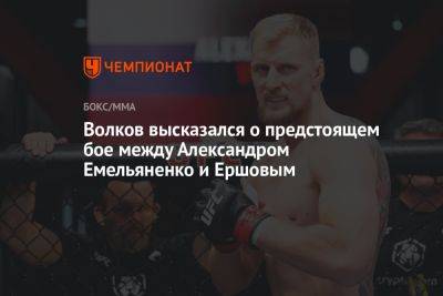 Волков высказался о предстоящем бое между Александром Емельяненко и Ершовым