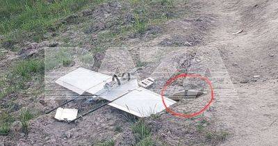 Три дрона с "бомбами" атаковали Брянскую область, сбили лишь один (фото) - focus.ua - Россия - Украина - Брянская обл.