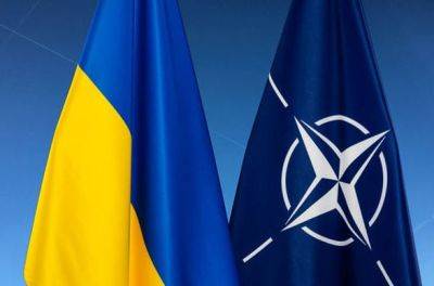 Одной из ключевых тем саммита НАТО будет повышение статуса Украины до страны-партнера