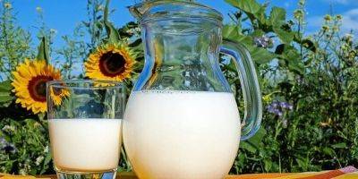 Основные потребители уехали. В Украине почти на треть снизилось потребление молока
