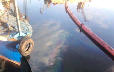 Сухой лиман в Одесской области загрязнен нефтепродуктами