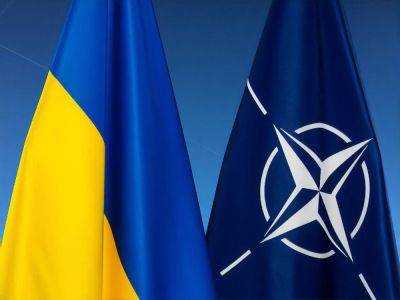 НАТО может повысить статус Украины, но дорожная карта для ее вступления в Альянс остается более отдаленной перспективой – СМИ