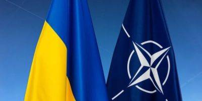 В Европе рассматривают возможность принять Украину в НАТО по примеру ФРГ — NYT