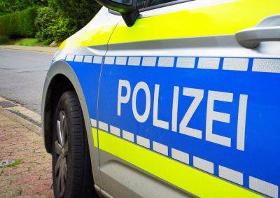 Германия усиливает полицейские патрули на границе с Чехией