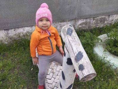 Мама пропавшей на Харьковщине Виолетты говорит, что ребенка похитили – СМИ