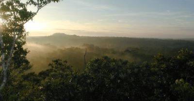 Скрытый от глаз: в джунглях обнаружен древний город майя, который "невозможно было найти" (фото)